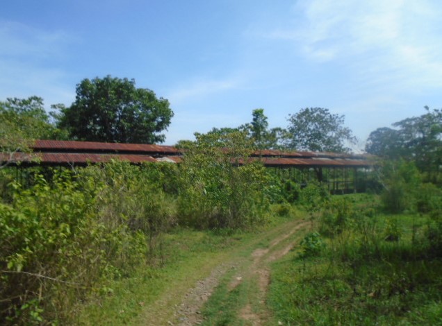 Lot 10516-B-2 Barangay Road Brgy. Magsaysay Naguilian Isabela
