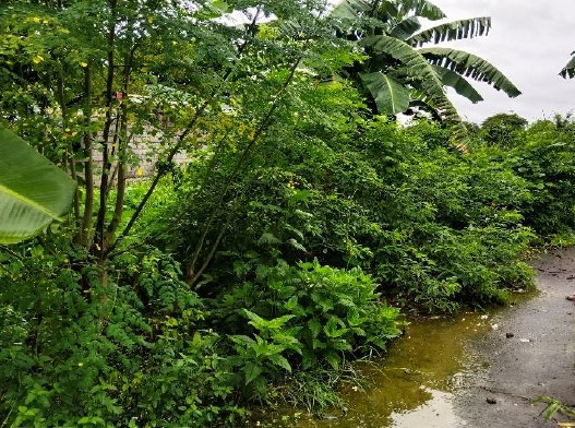 Lot 6-F Rodland Subdivision Brgy. Sta. Clara Santa Maria Bulacan