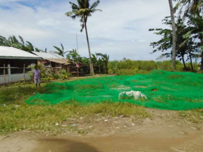 Lot 459 Brgy. Binaobaoan Pilar Capiz (Interior)