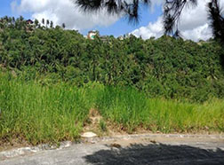 Lot 3 Block 2 Emerald Loop Crosswinds Tagaytay Subdivision Brgy. Iruhin Tagaytay City Cavite