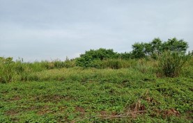 Lot 2934-L-14-B Gateway Business Park Brgy. Javalera Gen. Trias Cavite