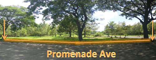 Lot 9 Block 10 Promenade Avenue and Road Lot 1 Promenade Subdivision Brgy. Don Jose Malilit / Sto. Domingo Santa Rosa City Laguna