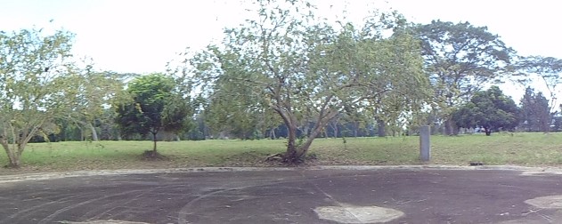 Lot 46 Block 11 Pine Street Belle Reve Subdivision Brgy. San Jose / Sto. Domingo Santa Rosa City Laguna