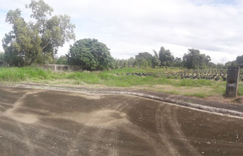 Lot 2 Block 13 Promenade Subdivision Brgy. Sto. Domingo Santa Rosa City Laguna