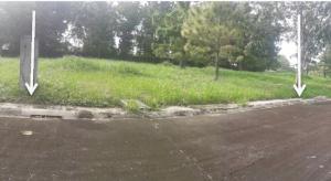 Lot 26 Block 7 Maple Street Belle Reve Subdivision Brgy. Don Jose / Sto. Domingo Santa Rosa City Laguna