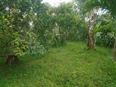 Lot No. 3 Barangay San Marcos (Tiquiw) San Pablo City Laguna