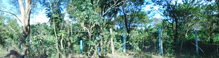 Lot 1 Psd-03-008603 Brgy. 9 Poblacion San Pedro Gen. Tinio Nueva Ecija (Interior)