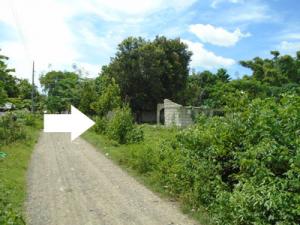 Lot 1983-D Brgy. Cawayan Bugtong Guimba Nueva Ecija