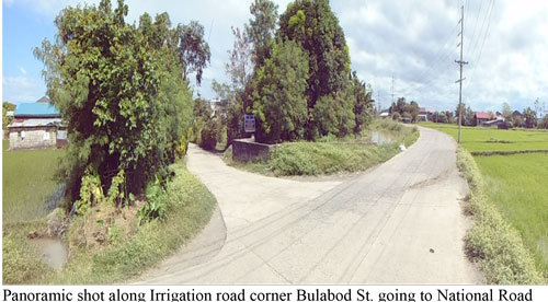 Lot 732-B-2-D-8-A and 732-B-2-D-8-F Bulabod St. Brgy. Sto. Nino Gapan City Nueva Ecija