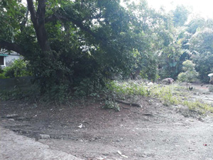 Lot 1132-O Zambrano St. Zone IV Brgy. Poblacion Rosales Pangasinan
