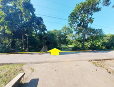 Lot 30967-C Psd-01-034156 Brgy. Anolid Malasiqui Pangasinan