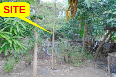 Lot 10-B-6 Brgy. San Vicente Santa Ignacia Tarlac (Interior)