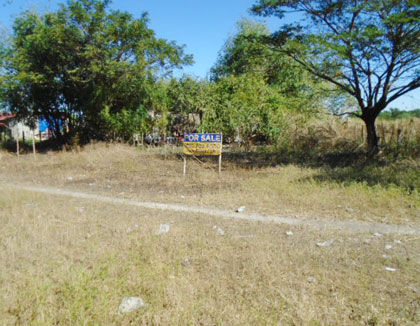 Lot 3240-1-3-E PSD-03-001810 Brgy. Aguso and Dalayap Tarlac City Tarlac (Interior)