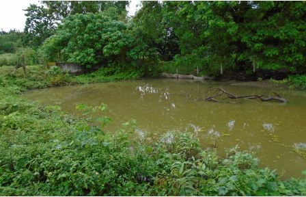 Lot 4034-F-1-A Sitio Centro Brgy. Sapang Maragul Tarlac City Tarlac (Interior)