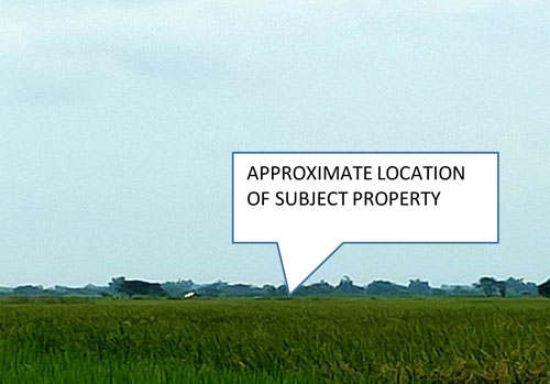 Lot 4896 Purok 4 Brgy. Cruz Victoria Tarlac (Interior)